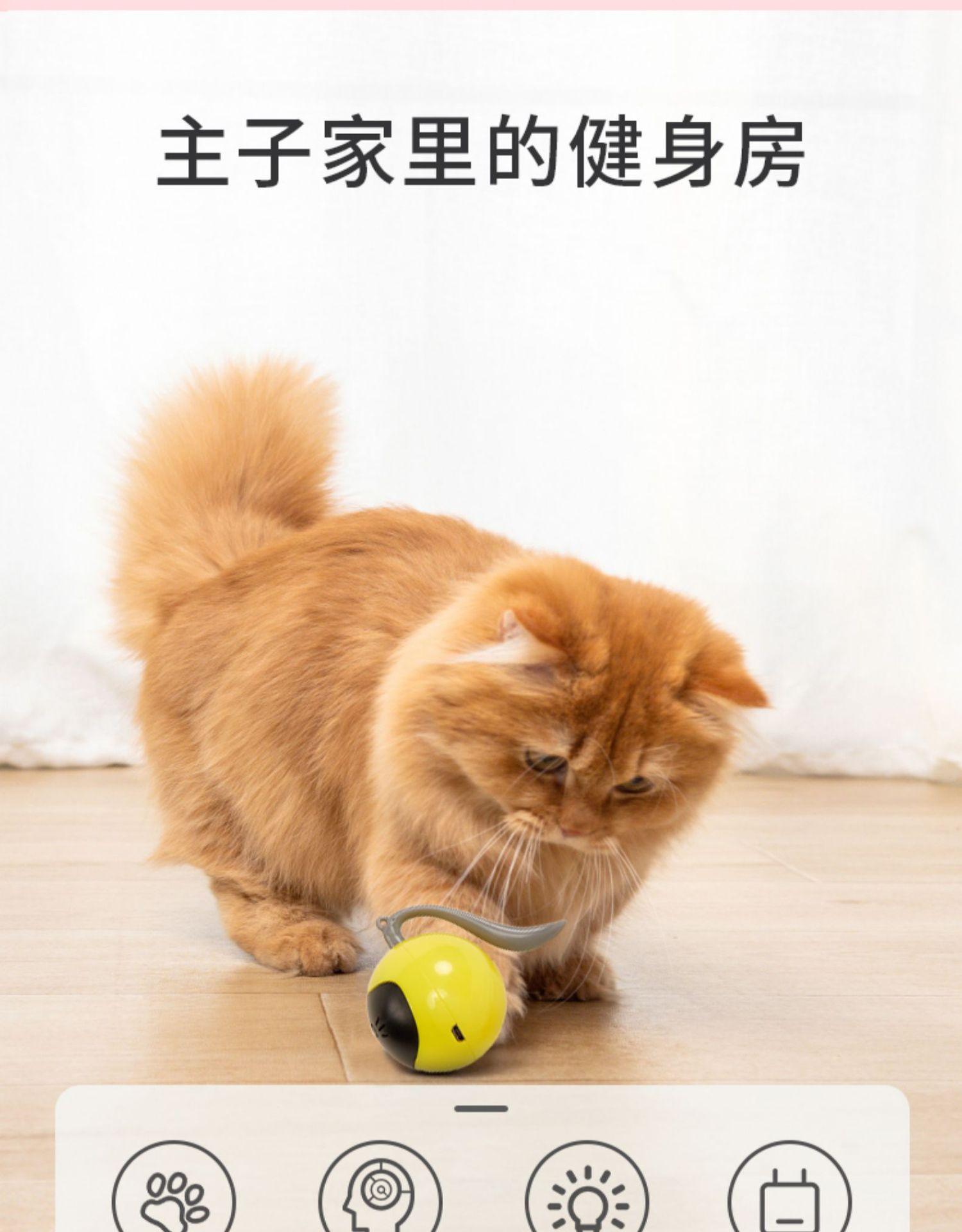 魔球详情页 (2).jpg