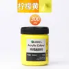 Set de Pintura Acrílica Marley para Estudiantes de Arte, Envases Grandes para Pintura, Graffiti, Arte Mural, Bricolaje, Botella Blanca, Enbolsado, 500ml