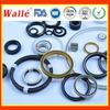 PTFE Bobina de Mola Resistente à Corrosão Dupla Mola Retentor de Óleo Equipamento Peça de Reposição Vedação de Equipamento Químico