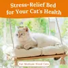 Tapete para Habitat de Gato com Explosão Transfronteiriça Rede Robusta para Gato com Estofamento e Madeira Sólida Rede para Animal de Estimação com 4 Ventosas Cama para Gatos