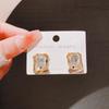 Pendientes de lujo ligeros y de alta gama para mujer, con diseño de nicho, de plata, con broche, a la moda, combinables, estilo frío, joyas para las orejas de celebridades de Internet.