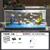 Tanque de Peces Ecológico Seleccionado Cuidadosamente para el Hogar, Escritorio, Paisajismo, Tanque de Corriente Auto-Circulante, Tanque de Plástico para Tortugas de Oficina