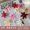 Flores de Lirio Pequeñas Simuladas, Pequeños Brotes de Lirio del Valle de 7 cm, Cabezas de Orquídeas Pequeñas, Producción de Tocados para Minorías Étnicas, Decoración de Cajas de Regalo