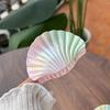 Nueva Concha Láser Colorida Elegante Horquilla de Vieira Elegante Grande Sirena Ji Color Tamaño Pequeño Agarre Accesorios para el Cabello