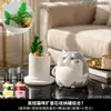 Linda piedra difusora de gatito para uso doméstico interior de larga duración, piedra aromática de cristal de alta calidad para aceites esenciales, decoración para dormitorio, habitación y sala de estar