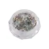 Lentejuelas Iridiscentes Polarizadas Ultra Delgadas para Uñas, Discos de Lunares, Polvo Brocado Nube Ópalo de Alto Brillo Cristal de Hielo, Jardín Secreto de Flores Secas