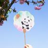 Abanico Redondo Panda de Frutas Estilo Chino con Texto Creativo, Nuevo Abanico Redondo de Papel de Caligrafía y Pintura China para Lugares Escénicos, Fotografía de Viajes y Abanico Tradicional