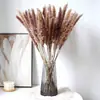 Flores Secas de Juncia Pequeña, Hierba de Pampa, Ramilletes de Juncia Pequeña al por Mayor, Ramilletes para Boda y Decoración del Hogar, Arreglos Florales DIY