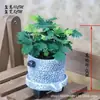 Planta Mimosa em Vaso Pequeno, Planta para Varanda Interna, Sala de Estar, Escritório, Quarto Planta Verde, Planta Verde Fácil de Cuidar o Ano Todo