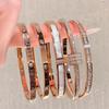 Pulsera de Acero de Titanio con Zirconia de Cintura Pequeña Oro Rosa para Mujer Pulsera de Moda Nicho de Lujo Ligero Pulsera Pulsera de Alta Gama Pulsera