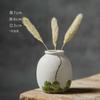 Cerâmica pintada à mão Jingdezhen florista suculenta grama de cobre dinheiro vaso mini hidropônico de mesa decoração vintage ins