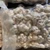 Atacado de Panax Notoginseng Liofilizado de Wenshan, Yunnan, Origem Panax Notoginseng Liofilizado de 20 Cabeças, 30 Cabeças, 40 Cabeças, 60 Cabeças