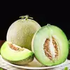 Melón Meilong de Red de Shandong, entrega 3/5/ 4.5kg melón textura helado caja de regalo melón, caja colorida, melón fresco, fruta fresca