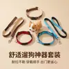 Collar y Correa para Mascotas Sencillo y Elegante, Relleno de Espuma, Collar para Perro Suave y Apto para la Piel, Stock Listo del Fabricante