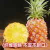Piña Dorada de Hainan Fruta Fresca 4.5 kg Piña Rosa de Temporada Piña Fragante Especialidad Fruta Grande Sin Ojos Caja Entera