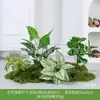 Série de Nomes de Três PalavrasConjunto de Paisagismo de Planta Verde Artificial, Combinação de Jardim de Plantas Falsas, Paisagismo Decorativo para Melhorar a Atmosfera