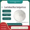 Lactobacillus bulgaricus 10 bilhões de UFC/g bactérias do ácido láctico probiótico ativo em pó bebida sólida spot