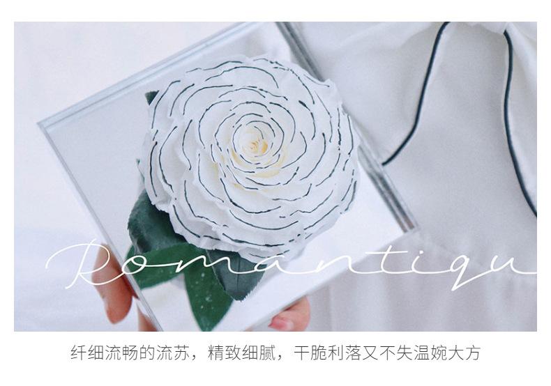 细节展示 (3)