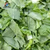 Equipo para Cafetería de Restaurante Escolar Máquina Cortadora de Verduras Multifuncional Comercial Totalmente Automática Máquina Cortadora de Verduras Inteligente de Gran Producción para Frutas y Verduras