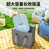 Bolsa Bento Catiônica Portátil para Trabalho Escola Bolsa de Almoço Impermeável Resistente ao Desgaste Grande Capacidade Armazenamento Grande para Almoço Bolsa de Gelo