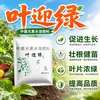 Huerto casero fertilizante foliar para frutas y verduras hoja verde suministro equilibrado de nutrientes mejorar la absorción del suelo problemas de plántula débil hoja amarilla
