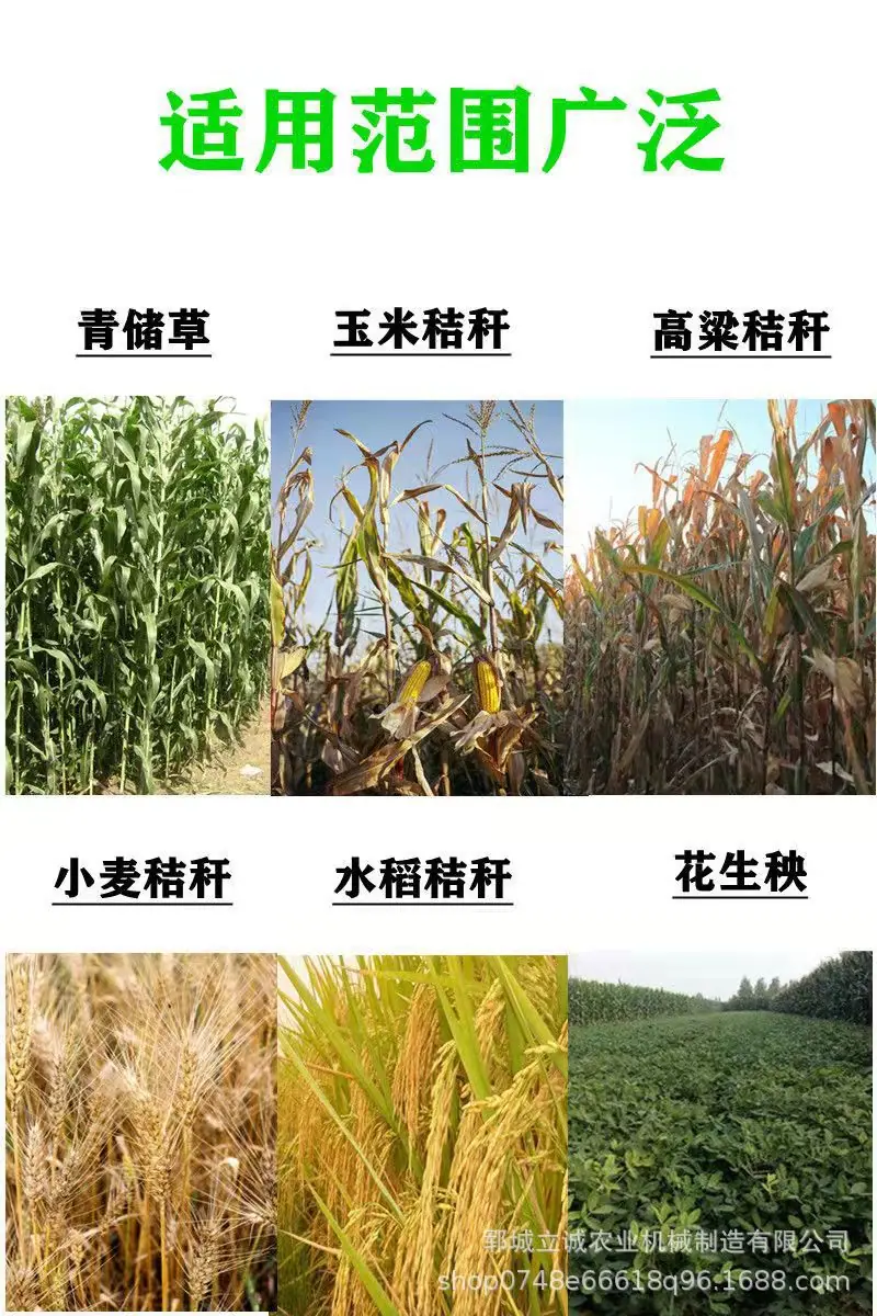 微信图片_20250319203552