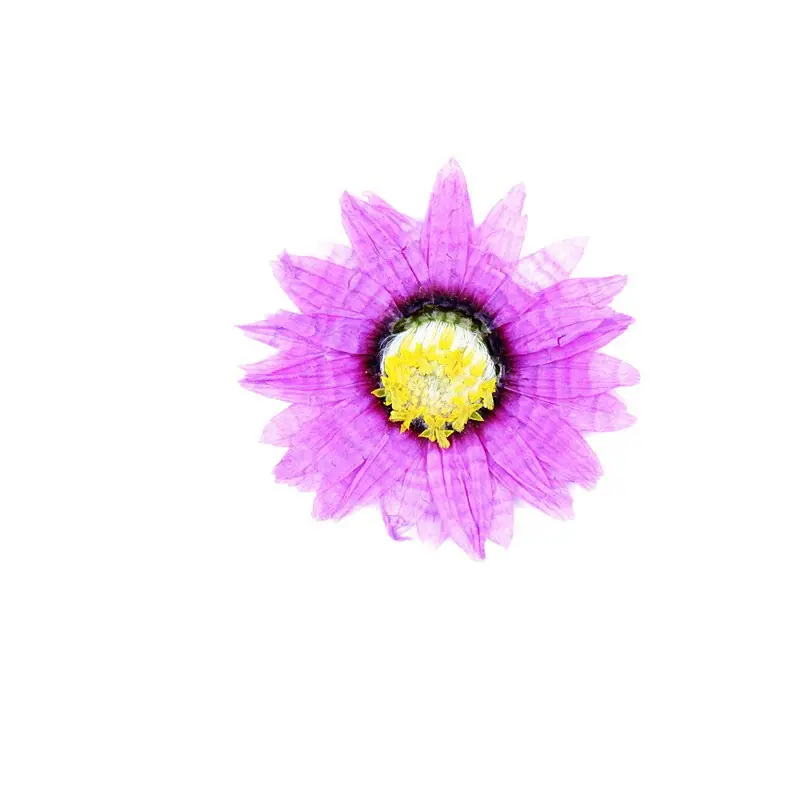 2025-09-21 13:24:26.jpg