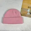 Gorro de piel de melón tejido de moda de otoño e invierno de producción propia, gorro femenino coreano de color sólido, gorro Baotou cálido para exteriores, gorro frío