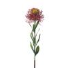 Flores Artificiais, Flores Agulha Cauda de Fênix Tropical Sul-Africana para Almofada, Ornamentos de Decoração para Mesa de Sala de Jantar, Adereços para Fotografia, Flores Artificiais, Arte Floral Artificial