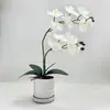 Orquídea Phalaenopsis Artificial de 2 Puntas con 12 Flores Adorno Decorativo para Sala de Estar Decoración de Planta Phalaenopsis Impresa en 3D Planta Artificial