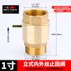 Todas as válvulas de retenção verticais de cobre válvula de retenção horizontal 4/6 minutos 1 polegada tubo de água de fio interno e externo medidor de água válvula de retenção do aquecedor de água
