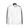 Traje deportivo para hombre y mujer con cuello vertical, traje de running para primavera y otoño, manga larga, para correr por la mañana, conjunto de dos piezas, todo a juego, popular en internet, ajustado, para parejas