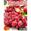 Uvas Recién Recolectadas Uvas Rojas Kurenson Fruta Fresca Uvas Crujientes Dulces Piel Fina Sin Semillas Mujeres Embarazadas Entrega Directa del Huerto Belleza de Hielo