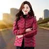 Chaqueta de Invierno de Algodón con Plumas para Mujer, Pequeña y Ligera, Cuello Alto, Estilo Coreano, Corte Entallado, Abrigo Desmontable con Capucha