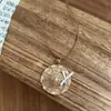 Nuevo Collar Colgante de Resina Estilo Étnico Chino Marrón Retro para Mujer Lanyard Cadena de Clavícula Accesorios Nuevo Estilo 2026