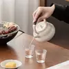 Fogão Elétrico Cerâmico de Mesa para Uso Doméstico, Pequeno Conjunto de Chaleira com Bule e Dispositivo para Infusão de Chá