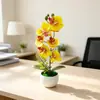 Bacia nova onda transfronteiriça 7 orquídeas Phalaenopsis vaso de flores simulação paisagem fotografia de casamento decoração de fotos flores artificiais pequenas plantas em vaso