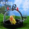Jaula para Pájaros Jaula para Llevar Casa del Pequeño Diablo Suministros Loro Acrílico Transparente Especial Nido Pequeño Jaula para Viaje