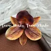 Tiara de Flor Artificial Crisântemo Orquídea Estilo Mesmo da Xiaohongshu Broche Flor de Chinelo DIY Grampo de Cabelo Adorno de Cabeça Combinação de Roupas