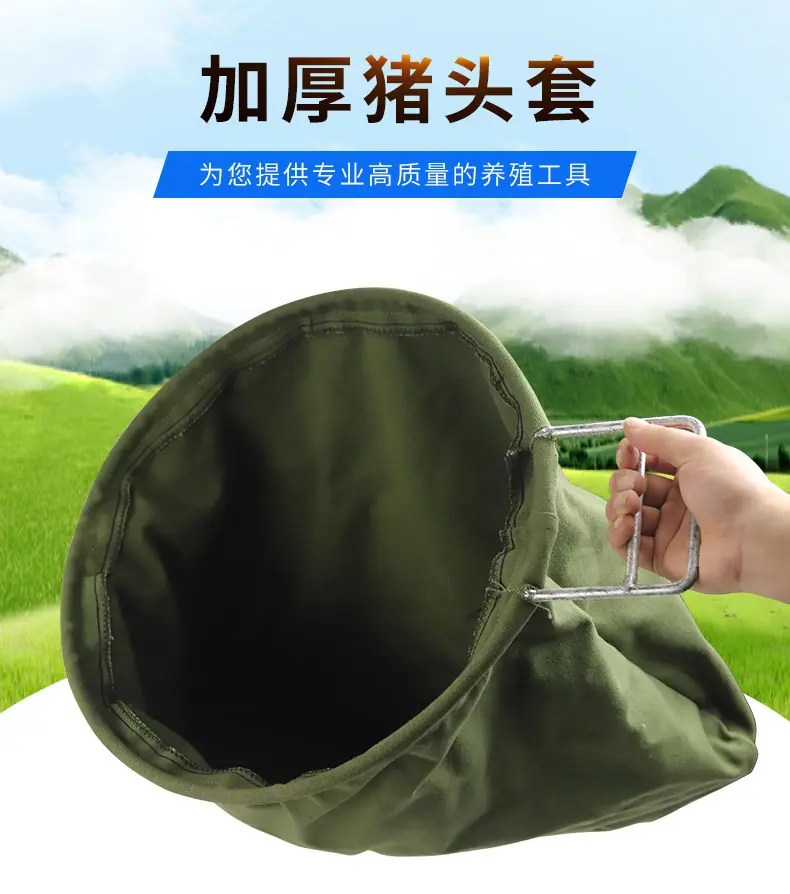 详情_01.jpg