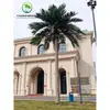 Coqueiro Falso Coqueiro Grande Tropical Outdoor Árvore Artificial para Paisagismo Planta Verde Arranjo de Paisagismo Palmeira Falsa Interna