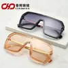 Gafas de Sol Personalizadas de Moda Tendencia Simple Europeas y Americanas 2026, Disponibles en Múltiples Colores, Venta al por Mayor desde el Fabricante