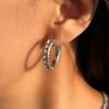 Pendientes Dazan Europeos y Americanos Transfronterizos de Moda Nicho Ins Retro Super Brillantes de Acero Inoxidable Coral Completo Diamante Circón