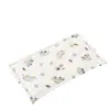 Almohada para Bebé Almohada Nube para Bebé Almohada para Recién Nacidos Niños Bebés de 0 a 6 Meses Almohada de Cachemira de Guisante