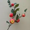 Galhos de Frutas para Véspera de Ano Novo Maçã Simulada Galhos de Romã Simulados Galhos de Frutas Caqui Caqui Ruyi Fa Cai Frutas Galhos de Pêssego