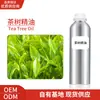 Aceite Esencial de Planta de Árbol de Té, Aceite de Hoja de Eucalipto Blanco, Extracto de Planta Hidratante y Nutritivo, Fragancia para Coche, Muestra de Aceite de Masaje de Rosa