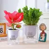 Maceta Matutina Auto-Riego para Personas Perezosas, Maceta Hidropónica Transparente de Plástico para Plantas Verdes, Estilo Minimalista Nórdico, para Chlorophytum y Otras Plantas Verdes, Maceta para el Hogar