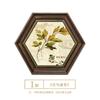 Pintura decorativa para comedor de restaurante americano, pintura colgante para entrada, fondo de sala de estar europeo, pintura mural hexagonal de flores y pájaros