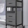 Carrito de Herramientas Especiales para Salón de Peluquería, Carrito para Tienda de Peluquería, Estante de Almacenamiento, Carrito de Almacenamiento de Metal para Barbería Sin Instalación