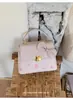 Bolsa Pequena de Desenho Animado Rosa de Menina Fofa 2026 Nova Coleção Primavera Nicho Alto Valor Simples Casual Ombro Transversal